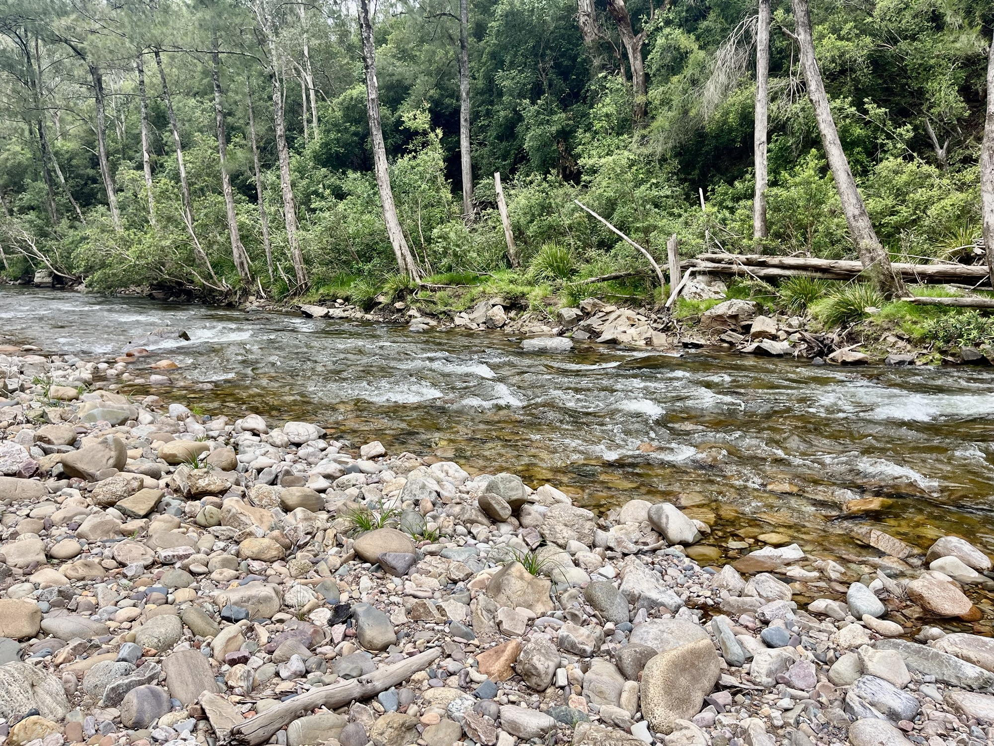 Roots Ridge